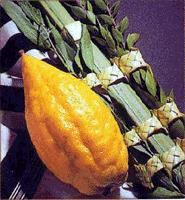 lulav etrog